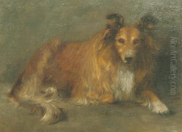 Study Of A Collie Oil Painting by Mary Elizabeth Berry