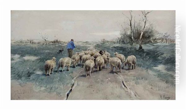 A Shepherd With His Flock On The Heath Oil Painting by Anton Mauve