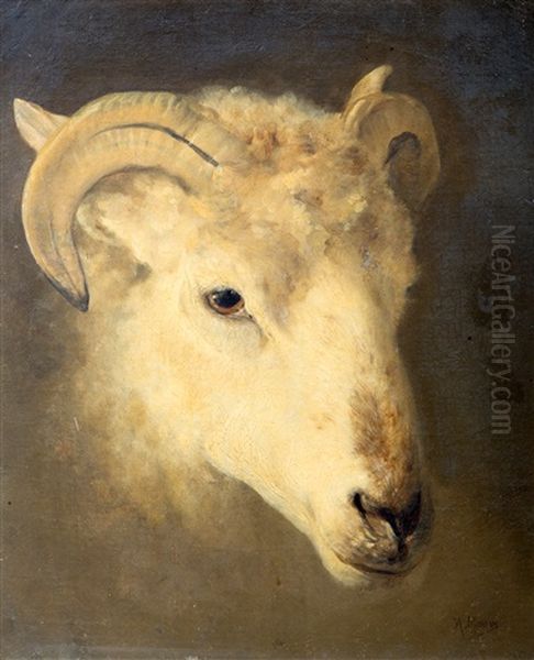 Schaapskop / Head Of A Sheep Oil Painting by Anton Mauve