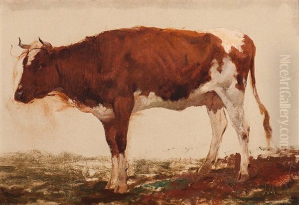 Red And White Cow Oil Painting by Anton Mauve