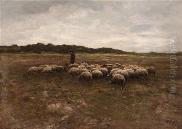 Shepherd With His Flock Oil Painting by Anton Mauve