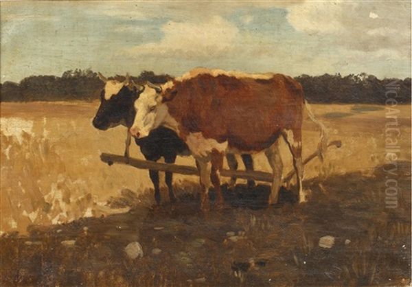 Study Of Cows In A Field Oil Painting by Anton Mauve