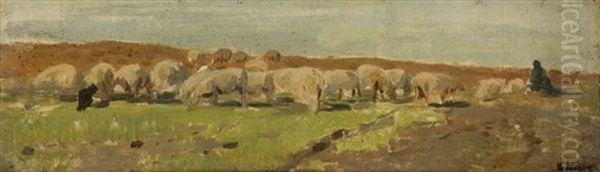 Berger Aux Moutons Oil Painting by Anton Mauve