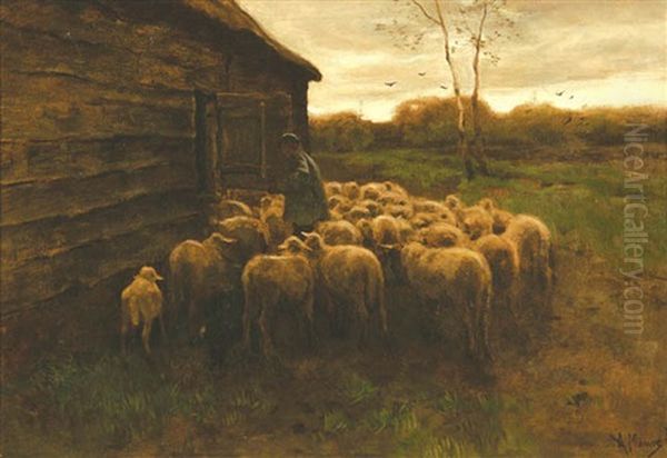 Sheep Feeding Oil Painting by Anton Mauve