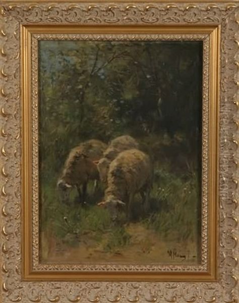 Pastoral Scene With Sheep Oil Painting by Anton Mauve