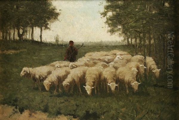 Shepard Herding His Sheep Oil Painting by Anton Mauve