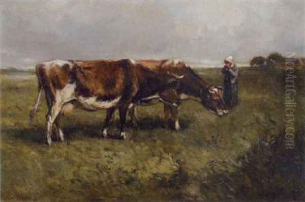 Cows Grazing With A Shepherd Girl Oil Painting by Anton Mauve