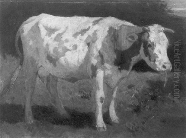 Bovine Study Oil Painting by Anton Mauve