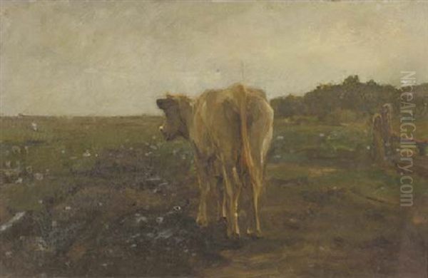 A Cow In A Meadow Oil Painting by Anton Mauve