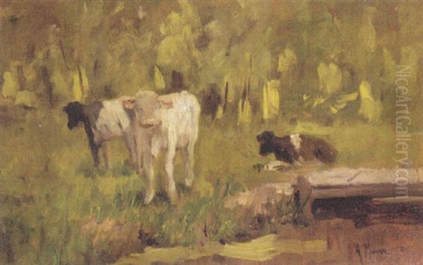 Calves In A Meadow by Anton Mauve