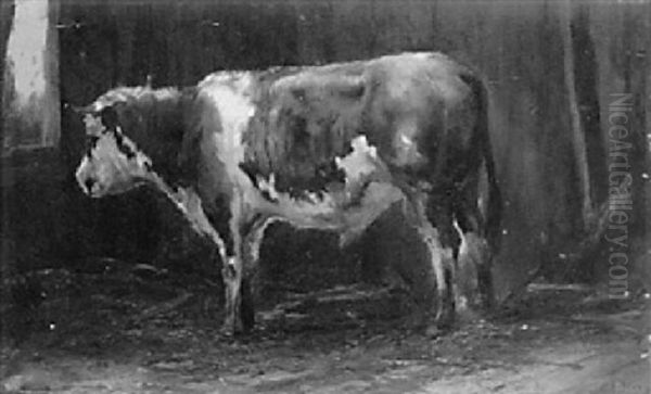 A Young Bull In A Stable Oil Painting by Anton Mauve