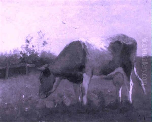 Warme Dag: Cow Grazing In A Meadow Oil Painting by Anton Mauve