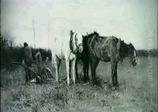 A Ploughman And His Horses Oil Painting by Anton Mauve