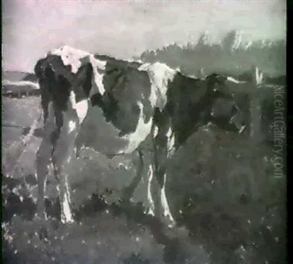 Lone Cow In A Field Oil Painting by Anton Mauve