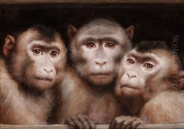 Three Monkeys Oil Painting by Gabriel von Max