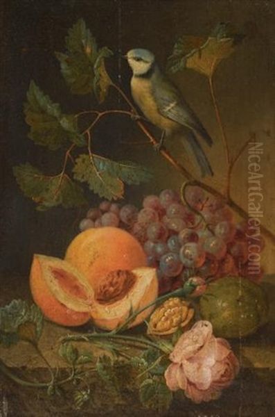 Still Life With Grapes And Apples And A Crested Tit; Grapes And Peaches With A Blue Tit (pair) Oil Painting by Johann Nepomuk Mayrhofer