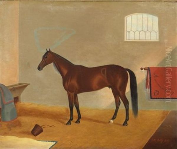 American Boy/an Equine Portrait by James J. Mcauliffe