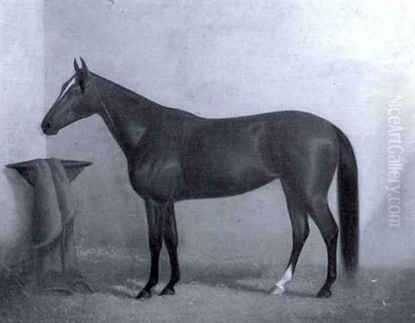 Portrait Of A Horse In A Stable Oil Painting by James J. Mcauliffe