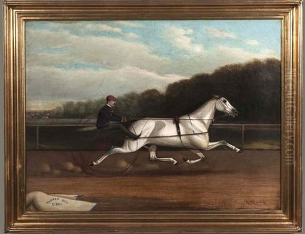 Tanner Boy 2: 22 1/4 Oil Painting by John McAuliffe