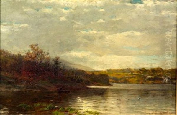 Pond With Ducks Alighting Oil Painting by George Herbert McCord