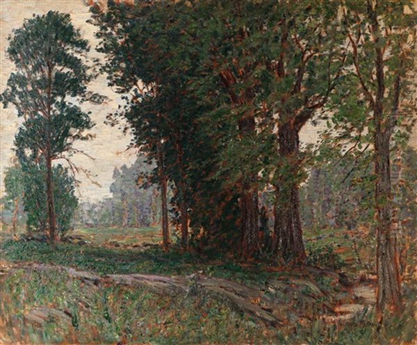 Summer Landscape (trees In Foreground) Oil Painting by Samuel Harkness Mccrea