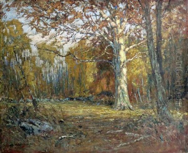 Forest Clearing Oil Painting by Samuel Harkness Mccrea