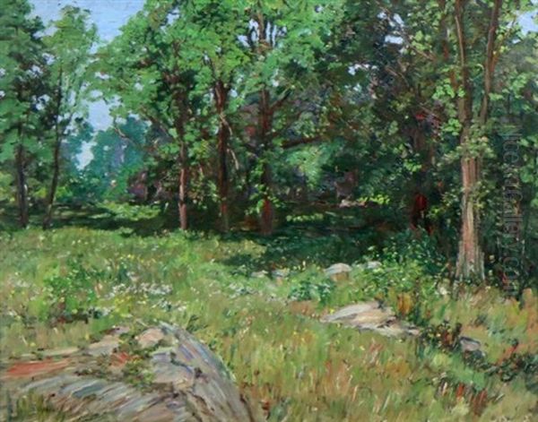 Spring Landscape With Rocks Oil Painting by Samuel Harkness Mccrea