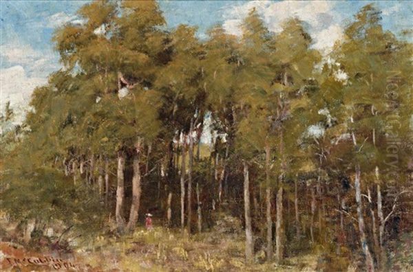 A Mountain Clearing, Macedon Oil Painting by Frederick McCubbin