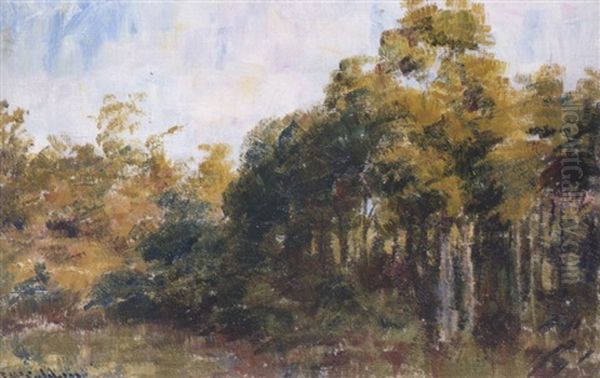 Bush Macedon Oil Painting by Frederick McCubbin