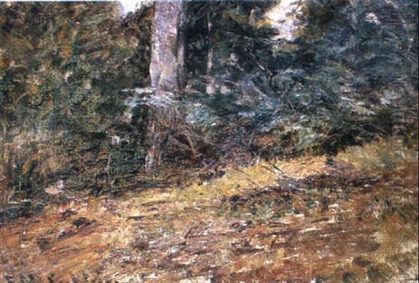 A Bush Study, Mount Macedon Oil Painting by Frederick McCubbin