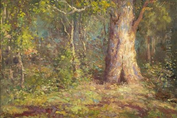 The Heart Of The Bush, Macedon Oil Painting by Louis Mccubbin