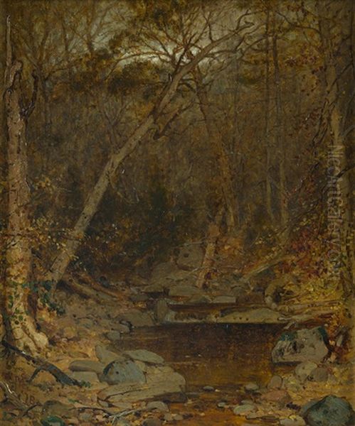 Untitled (stream In The Woods) Oil Painting by Jervis McEntee