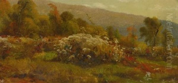 Fall Flowers On A Hillside Oil Painting by Jervis McEntee