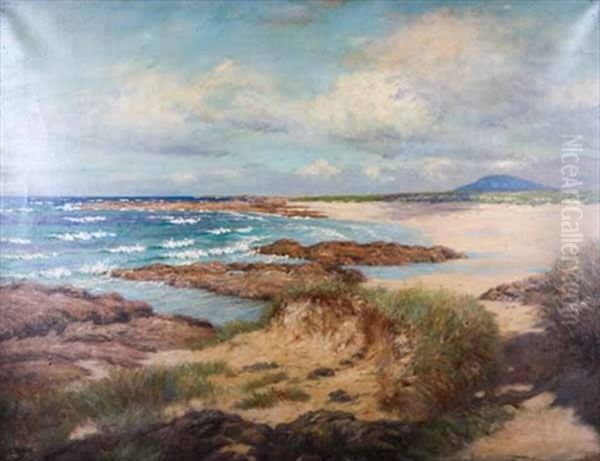 Coastal View Oil Painting by John Mcghie