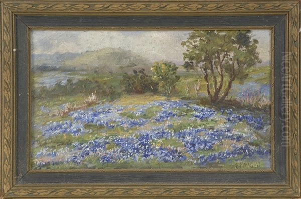 Field Of Bluebonnets Oil Painting by Eloise Polk Mcgill