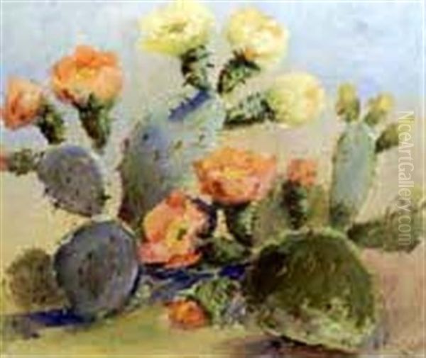 Cactus Flowers by Eloise Polk Mcgill