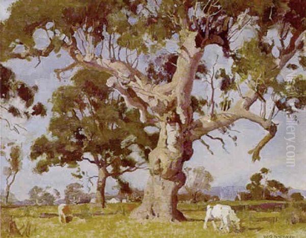 The Old Tree Oil Painting by William Beckwith Mcinnes