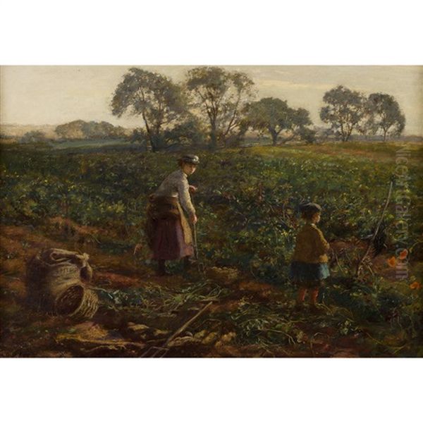 The Potato Diggers Oil Painting by William Darling McKay