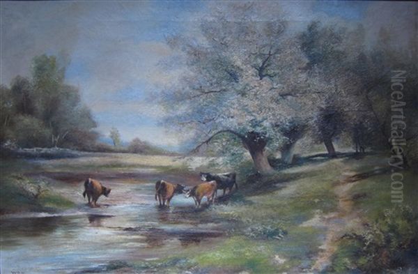 Cows By The Stream Oil Painting by William Darling McKay