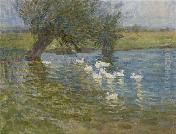 Ducks On A Pond by Helen Galloway Mcnicoll