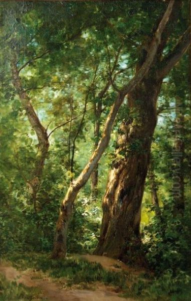 Arbres Oil Painting by Eugene Berthelon