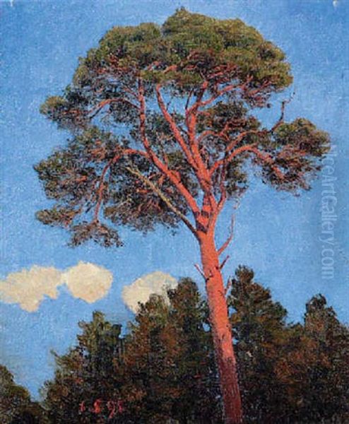 Baum Vor Blauem Himmel Oil Painting by Karl Mediz