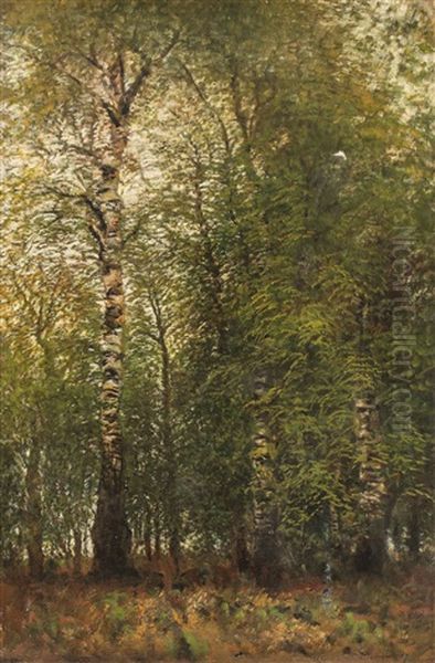 Birkenwald Oil Painting by Laszlo Mednyanszky