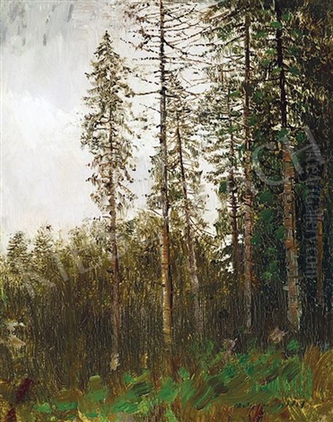 Pine Forest Oil Painting by Laszlo Mednyanszky