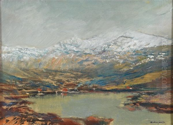 Mountain Lake In The High Tatras Oil Painting by Laszlo Mednyanszky