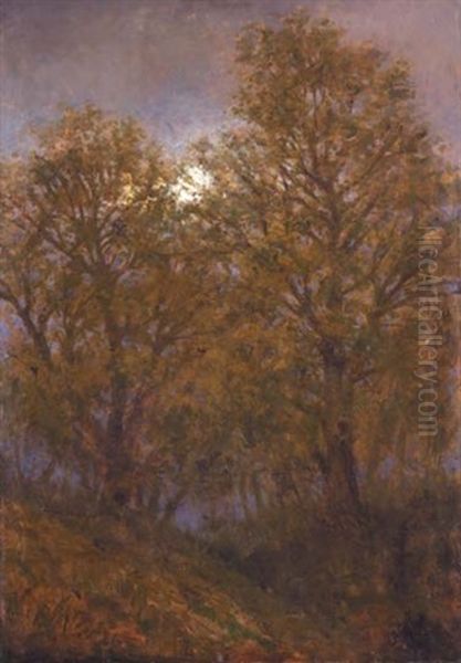 Autumn Forest In Moonlight Oil Painting by Laszlo Mednyanszky