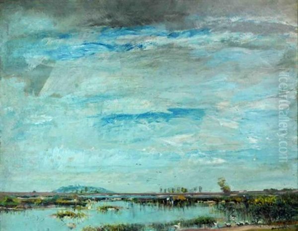 A View Across The Marsh Oil Painting by Laszlo Mednyanszky