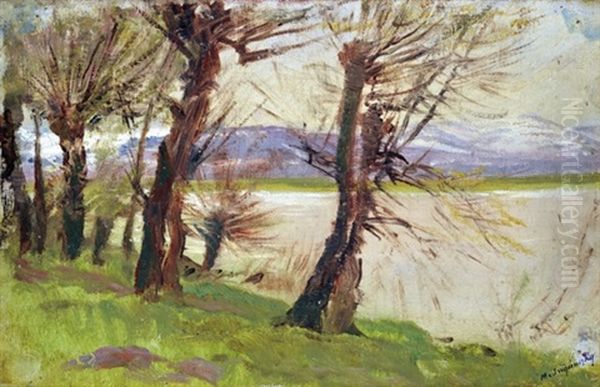 Willow Trees On The Coast Oil Painting by Laszlo Mednyanszky