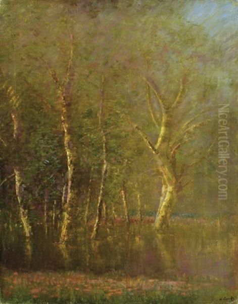 Forest Detail Oil Painting by Laszlo Mednyanszky