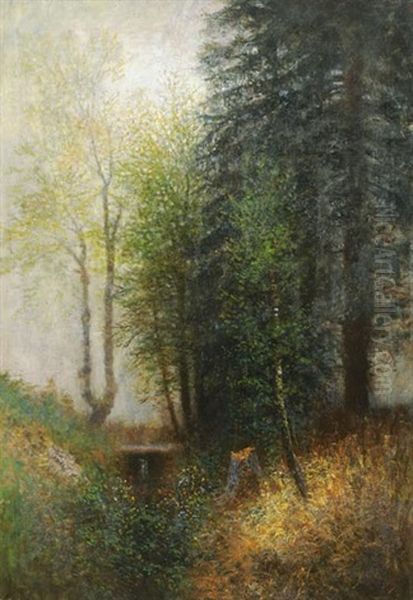 Forest Oil Painting by Laszlo Mednyanszky